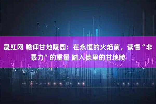 晟红网 瞻仰甘地陵园：在永恒的火焰前，读懂“非暴力”的重量 踏入德里的甘地陵